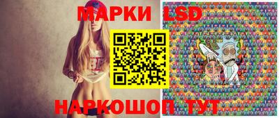 стаф Дубна