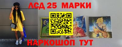 стаф Дубна