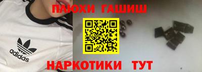 стаф Дубна
