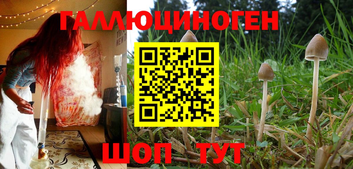 Галлюциногенные грибы мухоморы Королёв