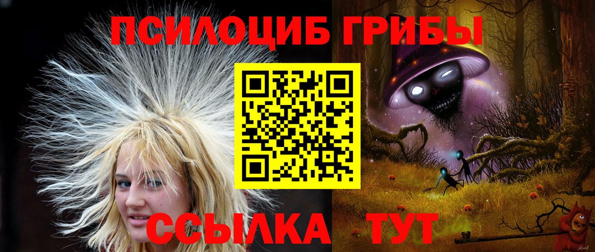 Королёв  Галлюциногенные грибы Magic Shrooms  Галлюциногенные грибы Magic Shrooms  Вход с VPN 